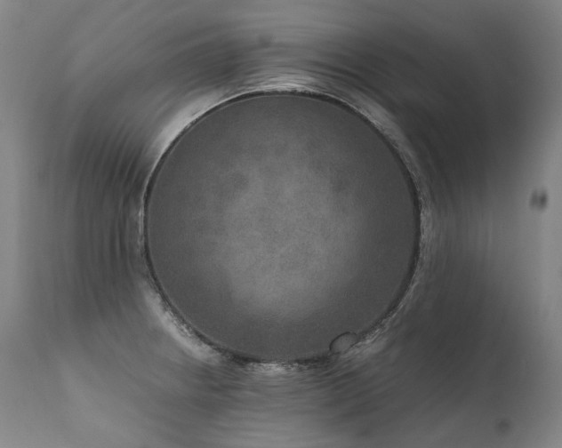 X0000111811234200907231226