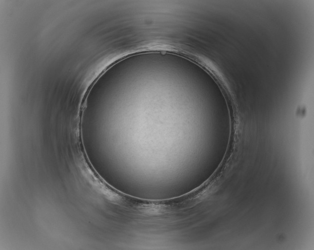 X0000111811236200907231226