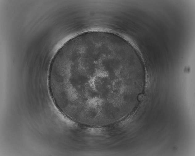X0000111811237200907231226