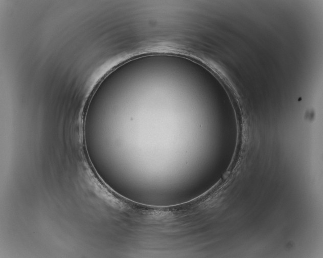 X0000111811238200907231226