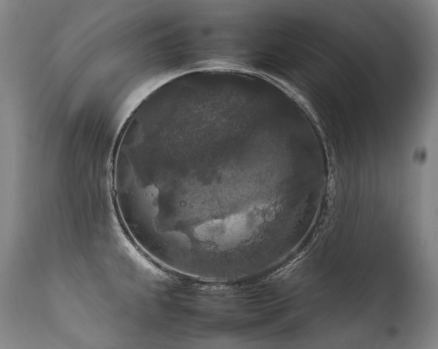 X0000111811239200907231226