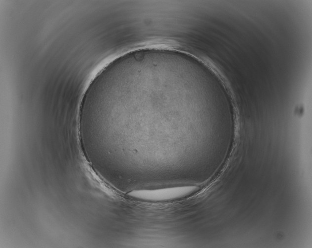 X0000111811240200907231226
