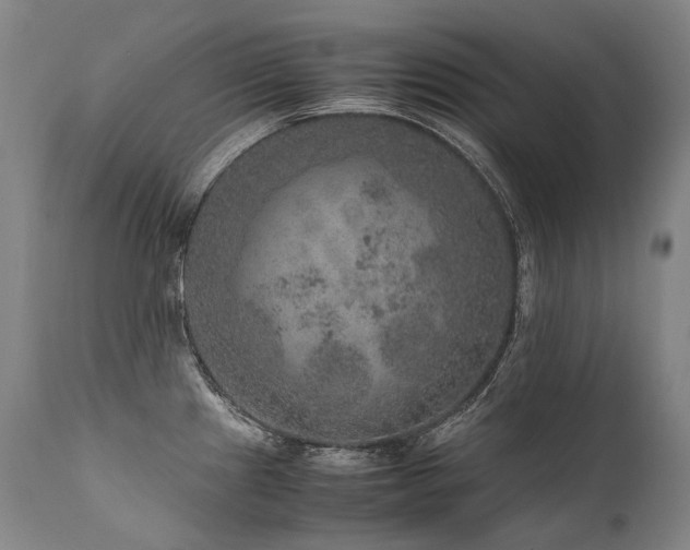 X0000111811241200907231226