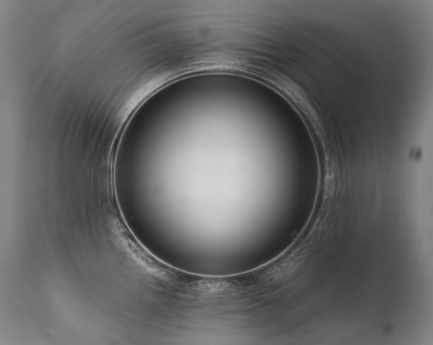 X0000111811242200907231227