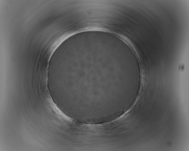 X0000111811244200907231227
