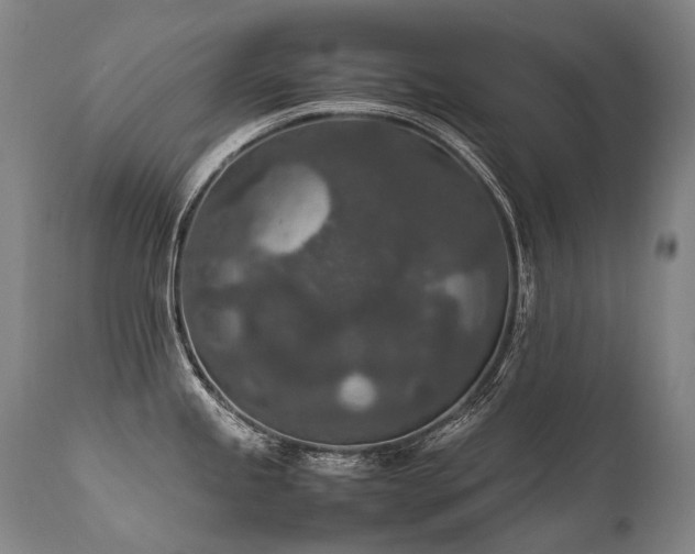 X0000111811245200907231227