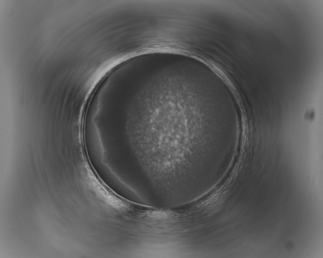 X0000111811246200907231227