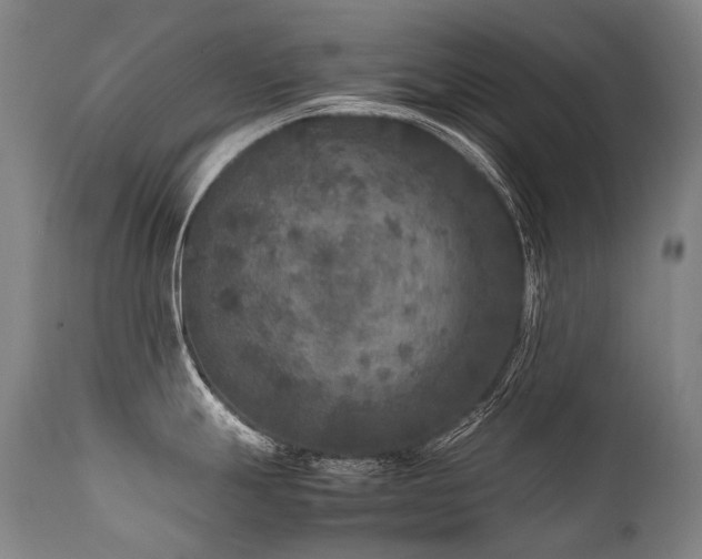 X0000111811247200907231227