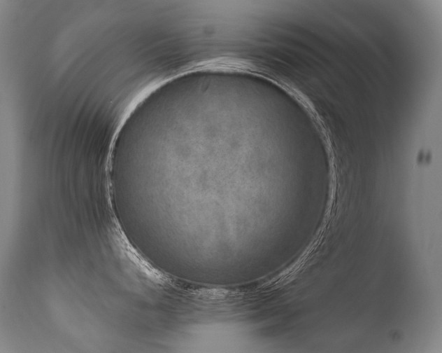 X0000111811248200907231227