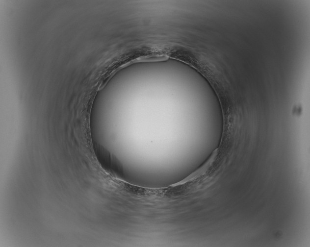 X0000111811249200907231226