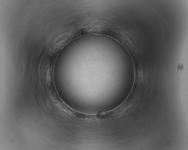 X0000111811250200907231226