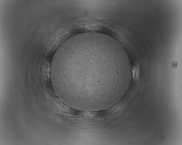 X0000111811251200907231226