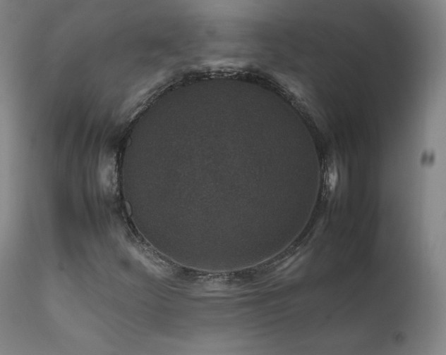 X0000111811252200907231226
