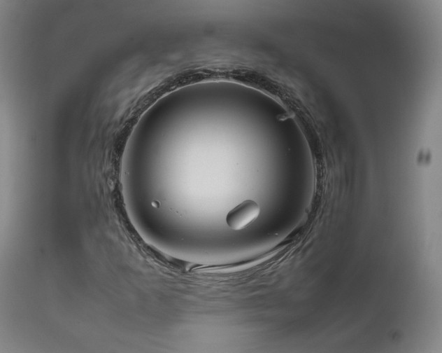 X0000111811253200907231226