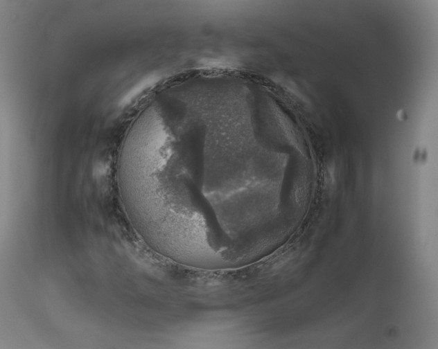 X0000111811254200907231226