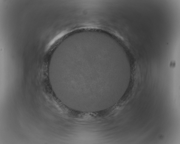 X0000111811255200907231226