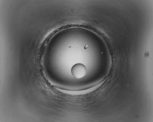X0000111811256200907231226