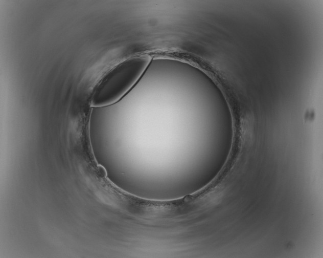 X0000111811257200907231226