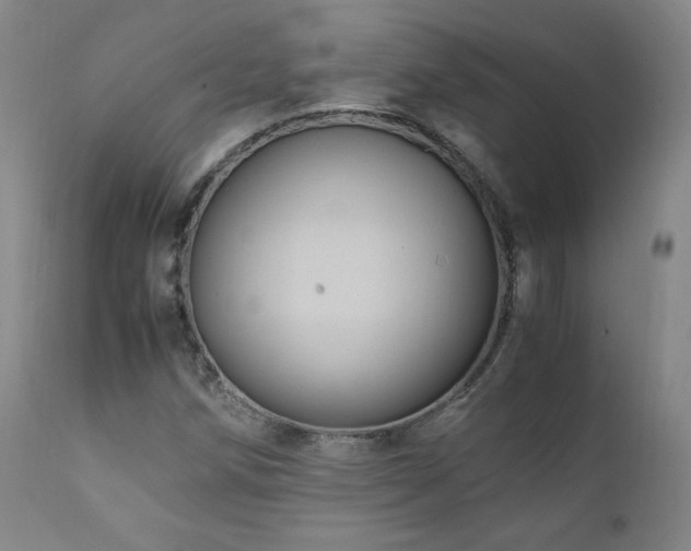 X0000111811258200907231226