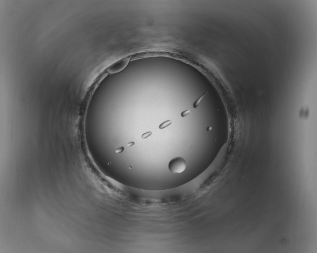 X0000111811260200907231226