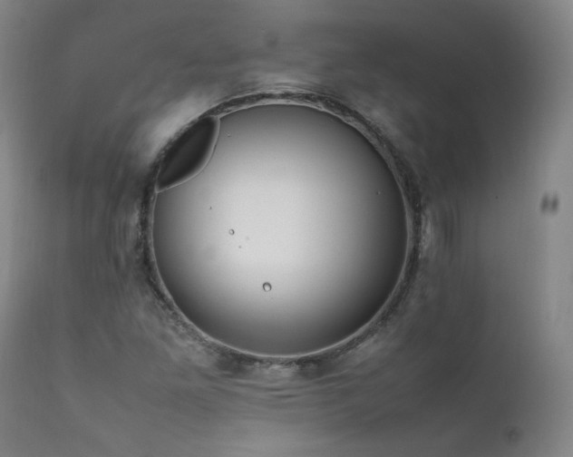 X0000111811261200907231226
