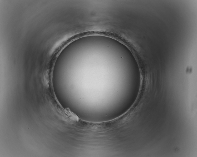 X0000111811262200907231226