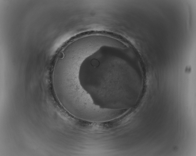 X0000111811263200907231226