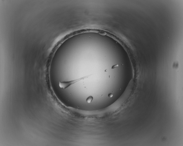 X0000111811264200907231226