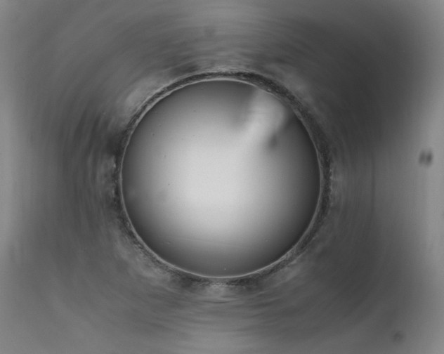 X0000111811265200907231226
