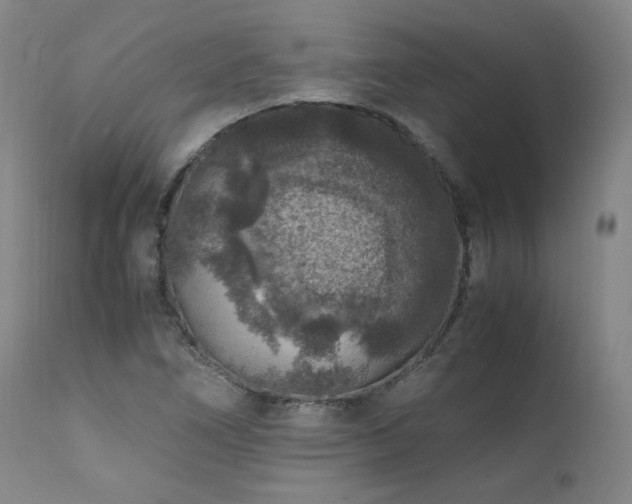 X0000111811266200907231226