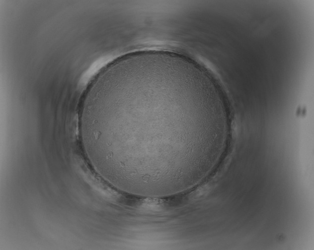 X0000111811267200907231226
