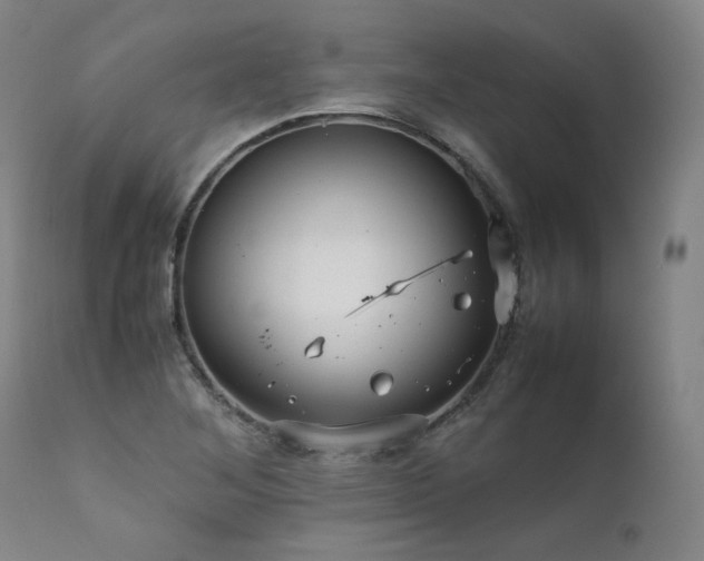 X0000111811268200907231225