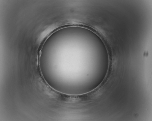 X0000111811269200907231225