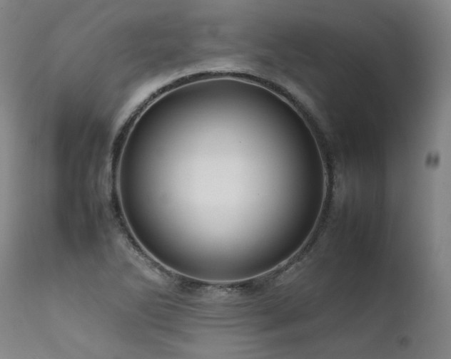 X0000111811270200907231225