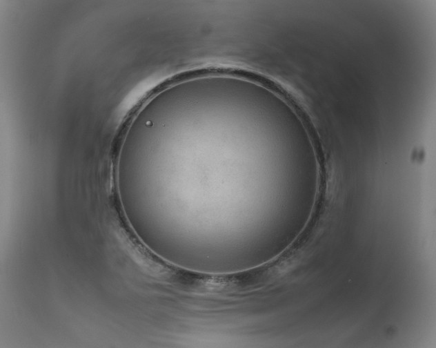 X0000111811271200907231225