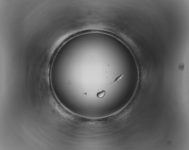 X0000111811272200907231225