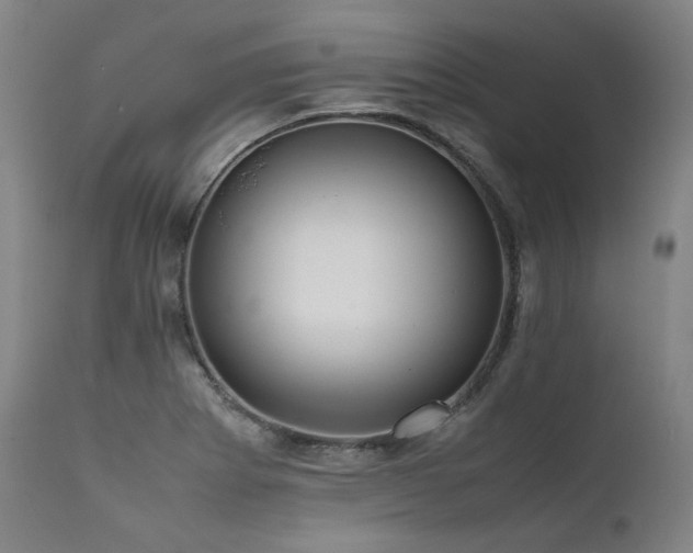 X0000111811273200907231225