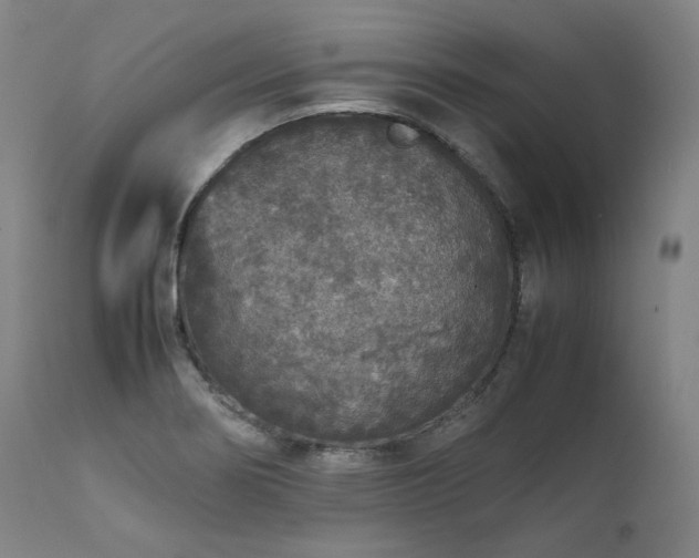 X0000111811274200907231225