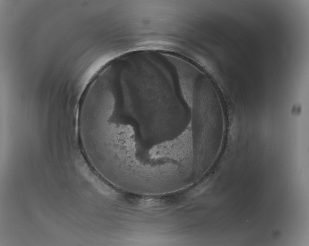 X0000111811275200907231225