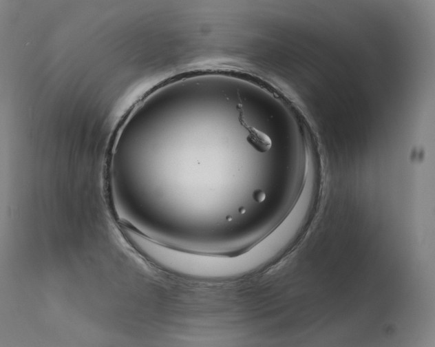 X0000111811277200907231225