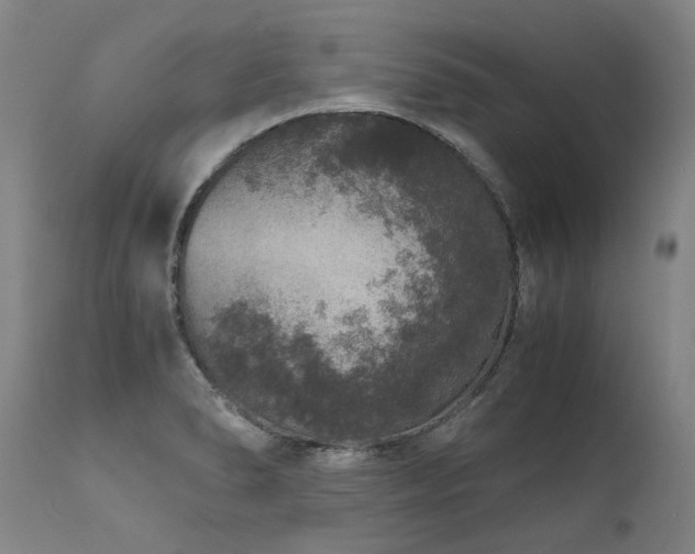 X0000111811278200907231225