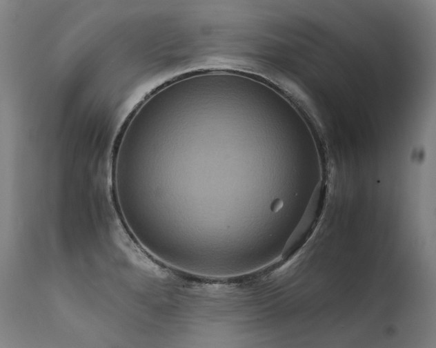 X0000111811280200907231225