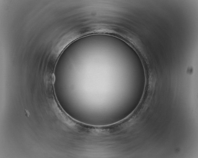 X0000111811281200907231225