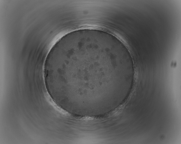 X0000111811283200907231225