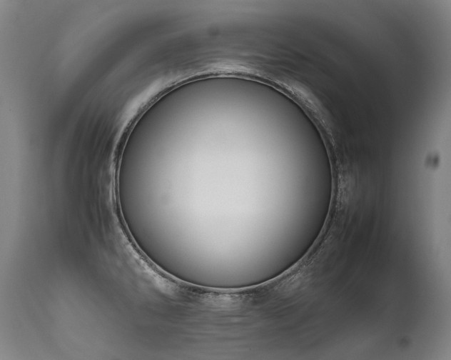 X0000111811286200907231225