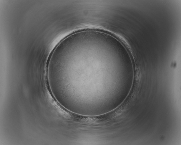 X0000111811287200907231225