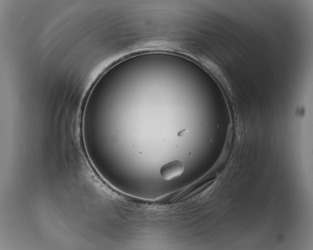 X0000111811288200907231225