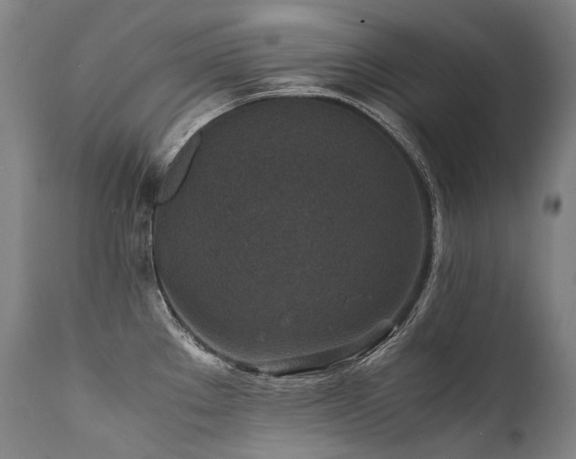 X0000111811289200907231225