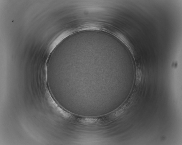 X0000111811290200907231225