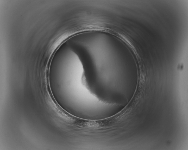 X0000111811291200907231225